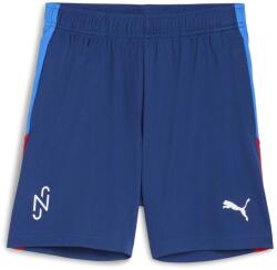 PUMA Neymar Jr Playmaker Training Shorts Jr (660317-10)