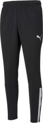 PUMA Team Liga Training Pants (65724203)