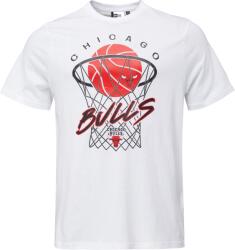 New Era Chicago Bulls Nba Net (60578563)