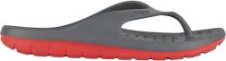 Coqui Zucco (7901-100-2556)