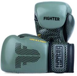 Fighter Training (fbg-trn-001(2))