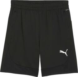 PUMA Teamfinal Training Shorts (65856603)