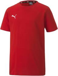 PUMA Teamgoal 23 Casuals Tee Jr (65670901)