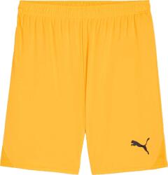 PUMA Teamgoal Shorts (70575261)