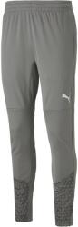 PUMA Teamcup Training Pants (65836913)