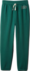 GAP V-fall Fash Logo (542342-01)