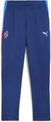 PUMA Neymar Jr Playmaker Training Pant (660313-10)