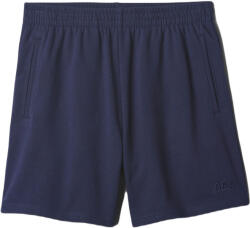 GAP Frnch Logo (870978-02)