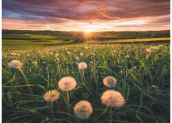 Ravensburger 12000592 - Pitypang a Naplementében - 500 db-os puzzle (12000592)