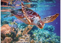 Ulmer 3726 - Sea Turtle - 500 db-os puzzle (3726)