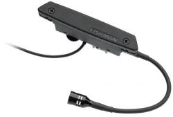 Fishman Rare Earth Mic Blend Doză pentru chitară acustică (PRO-REP-103)