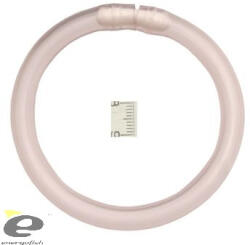 Titi Kapásjelző Karika átlátszó Kicsi 7 Cm (e-78012007)