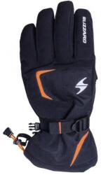 Blizzard Reflex Ski Gloves 10