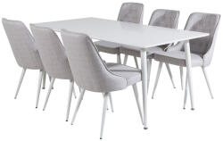  Étkezőgarnitúra Dallas 1625 (Világosszürke + Fehér)