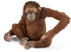 Schleich Orangután nőstény