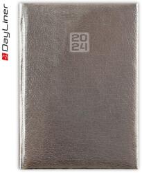 Dayliner Naptár, tervező, A5, heti, DAYLINER, "Mirror", ezüst (DL3AG-MRFA5HE-EZ) - nyomtassingyen