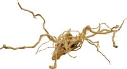 INVITAL Red Moor Wood M 30-40cm (ID Z05863)