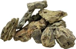 INVITAL Dragon Stone 6685g (ID Z01724)