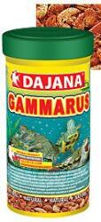 Dajana Gammarus arany 500ml