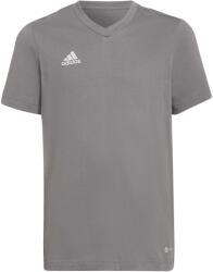 Adidas Tricouri mânecă scurtă Fete HC0444 adidas Gri 9 / 10 ani