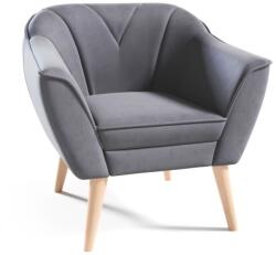 ArtPK SIMON 204 fotel | fa lábak Színváltozat: Velutto 18