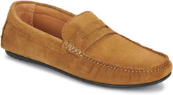 Selected Mocasini Bărbați SLHSERGIO SUEDE PENNY DRIVING SHOE B Selected Maro 40