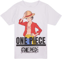 NAME IT Tricouri mânecă scurtă Băieți NKMNATE ONEPIECE SS TOP BOX VDE Name it Alb 134 / 140 cm