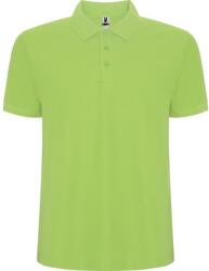 ROLY Férfi Pegaso Premium rövid ujjú póló pólóing M zöld