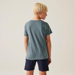 Regatta Bosley VIII Gyerek pamutpóló szürke