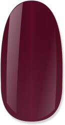 NiiZA Gel Polish 4ml - 491