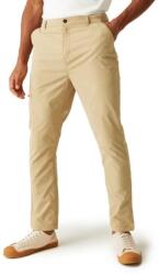 Regatta Dalry Trouser Férfi nadrág hosszított szárhosszal +2 cm bézs