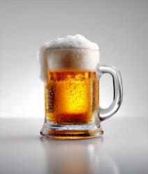 Takoy Fésült szabadidő anyag / futter Takoy PANEL 360g harmatos sör