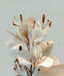 Takoy Fésült szabadidő anyag / futter Takoy PANEL 360g virág Andean