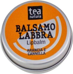 TEA Natura Narancs és Fahéj ajakbalzsam - 15 ml