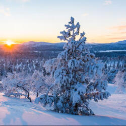  Winterscape - téli panoráma 50 ml