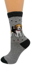 Yvonne Beagle kutyás zokni 35-38 4348