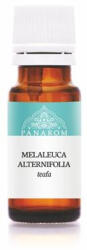 Panarom Illóolaj, bio, 10 ml, PANAROM, teafa