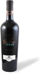 MÉSZÁROS PÁL Grandiózus Syrah 2023 - Mészáros (0, 75l)