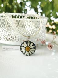 Meganflo Маргаритка