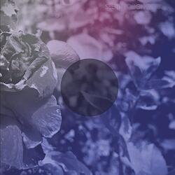 See Through Dresses See Through Dresses - facethemusic - 8 190 Ft