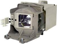 ViewSonic RLC-111 lampă compatibilă cu modul (RLC-111)