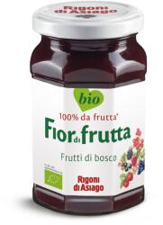 Rigoni di Asiago Dulceata bio de fructe de padure, 250g, Rigoni di Asiago