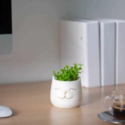 Vog und Arths Műnövény dekoráció - macskafej - 9 x 14 cm - 3 féle Vog und Arths 11849 (11849) - tutiar