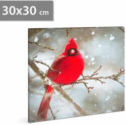 Family LED-es fali kép - vörös pinty - 30 x 30 cm Family 58478 (58478) - tutiar