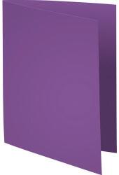 Exacompta papír irattáblák, 250 db, lila