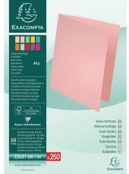 Exacompta papír irattáblák, 250 db, világoskék