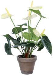 Vepabins Flamingóvirág műnövény, magasság: 40 cm, szín: zöld-fehér