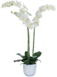 Vepabins Lepkeorchidea műnövény, zöld fehér, magasság: 100 cm