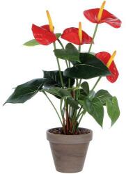 Vepabins Flamingóvirág műnövény, magasság: 40 cm, szín: zöld-piros