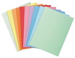 Exacompta Papír mappák Super 180, 100 db, színkeverék